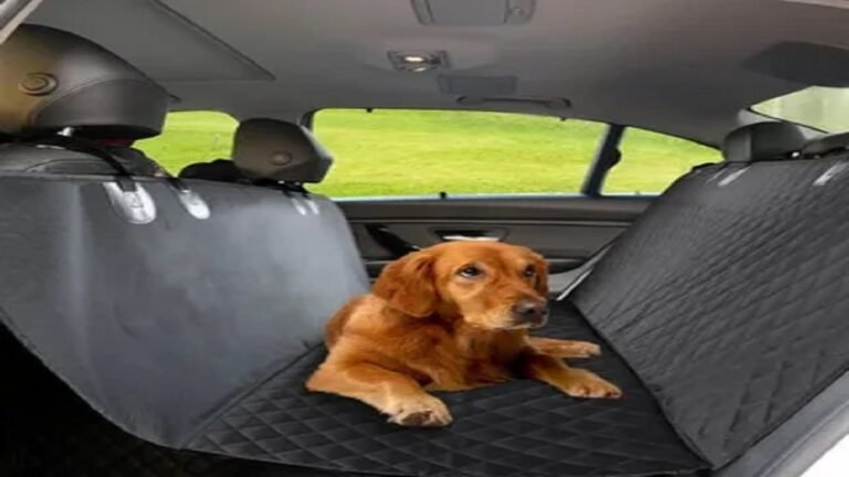 How To Remove Dog Urine Odor From Car Seat?